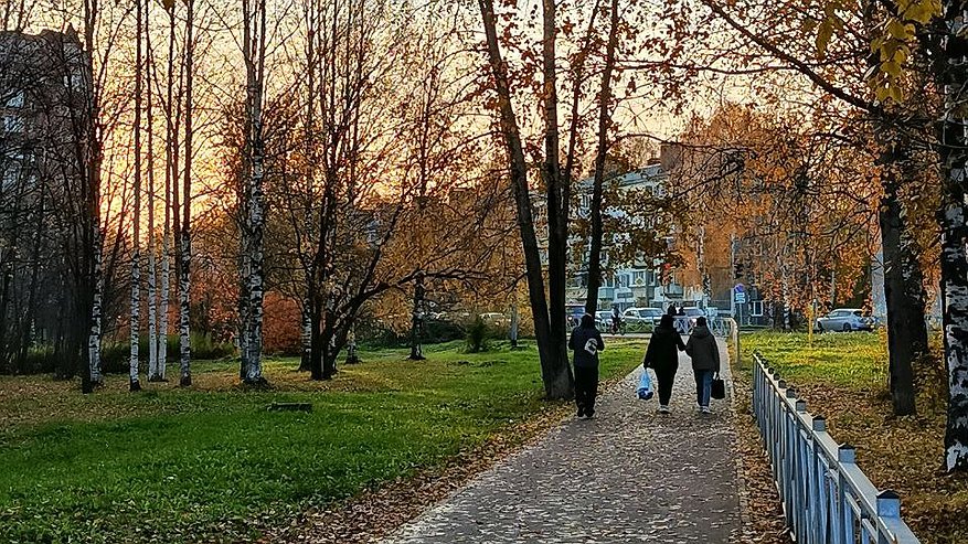 Главная картинка новости: 1 ноября в Чувашии будет серо, сыро и иногда дождливо