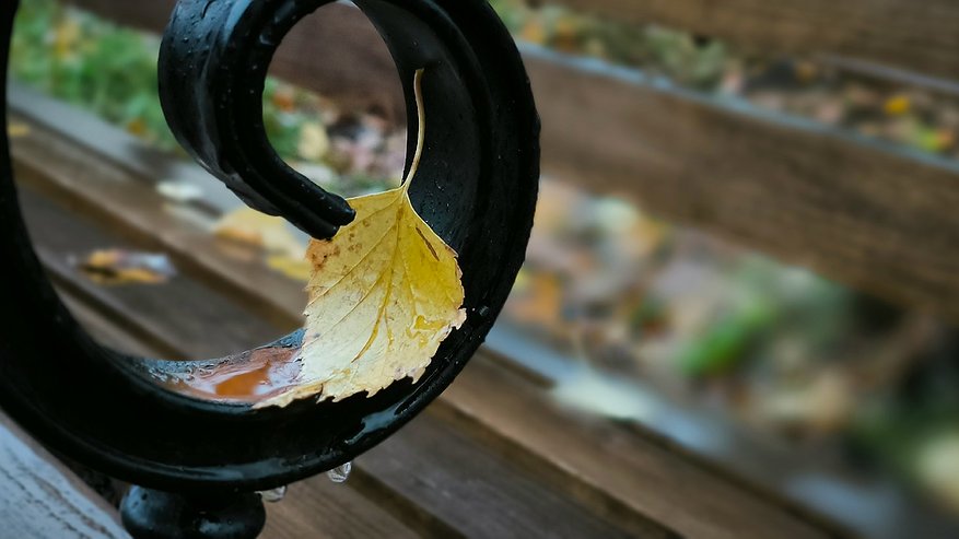 Главная картинка новости: Чувашия готовится к перемене погоды: от сухого понедельника к осадкам во вторник