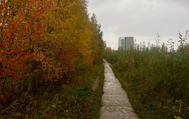 В Чувашии 4 ноября ожидается переменная облачность и небольшой дождь