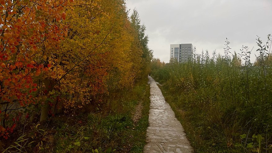 Главная картинка новости: В Чувашии 4 ноября ожидается переменная облачность и небольшой дождь