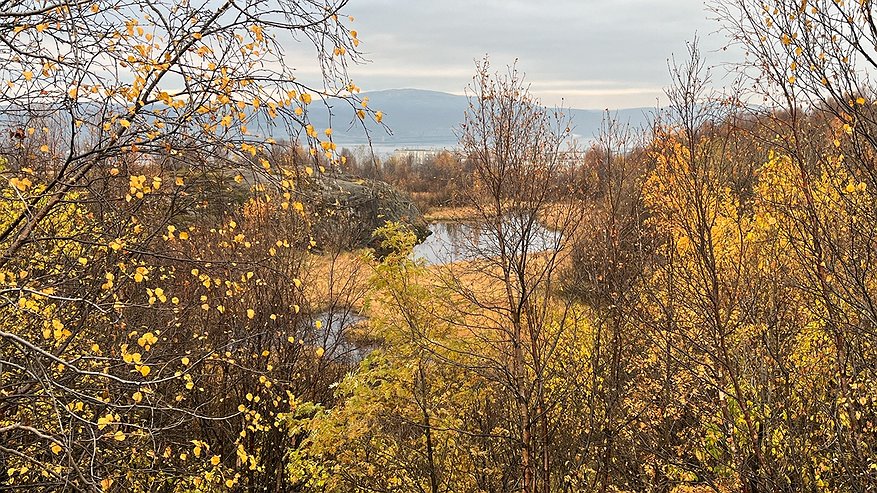 Главная картинка новости: В Чувашии ожидается возвращение тепла после кратковременного похолодания