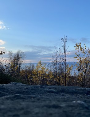 Атлантическое тепло отсрочит наступление зимы в Чувашии