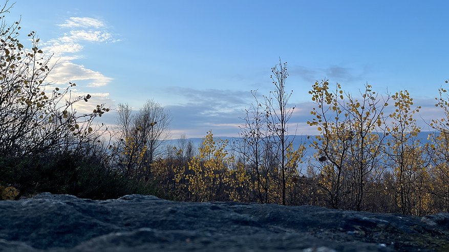 Главная картинка новости: Атлантическое тепло отсрочит наступление зимы в Чувашии