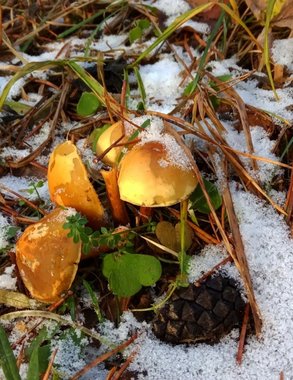 В Чувашии ожидается аномальное потепление с последующим похолоданием