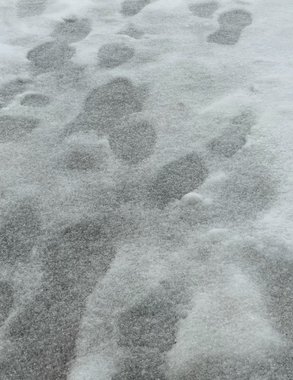 МЧС Чувашии продлило желтый уровень погодной опасности на 19 ноября