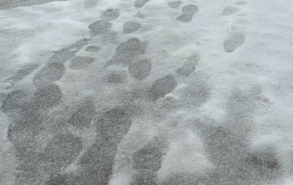 МЧС Чувашии продлило желтый уровень погодной опасности на 19 ноября