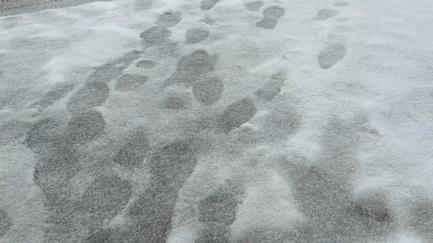 Главная картинка новости: МЧС Чувашии продлило желтый уровень погодной опасности на 19 ноября