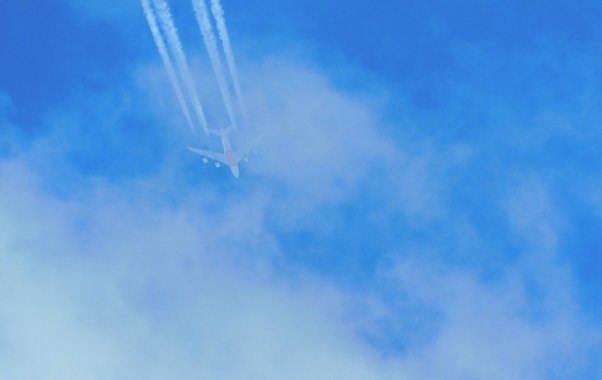 Росавиация утвердила субсидируемые авиарейсы из Чебоксар на 2025 год