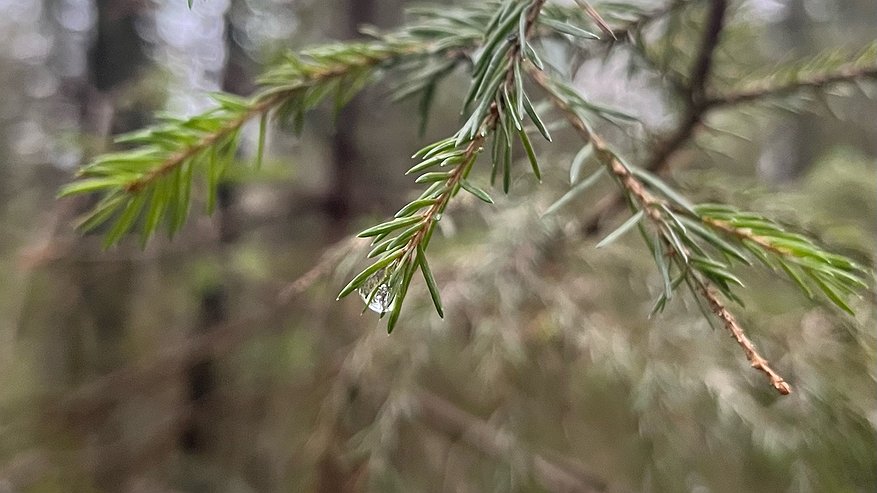 Главная картинка новости: Чувашская Республика готовится к дождливым и скользким выходным