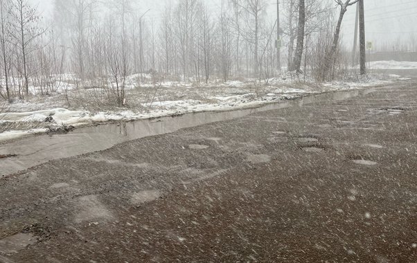 Чувашию накроет волна переменчивой погоды: от дождей и мокрого снега до гололедицы и сильного ветра