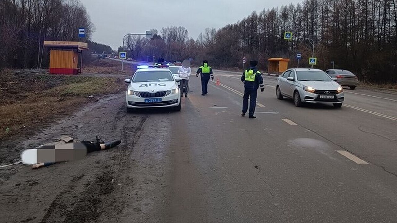 Главная картинка новости: На пешеходном переходе под Чебоксарами водитель иномарки сбил насмерть женщину