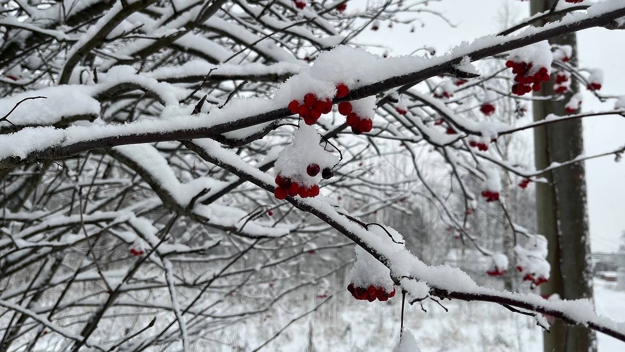 Главная картинка новости: В Чувашии прогнозируют снегопады и похолодание после аномально теплой погоды