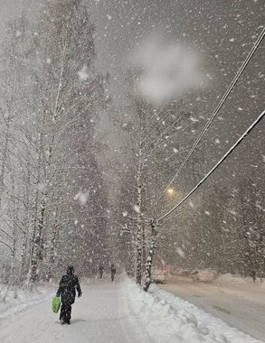 Метеорологи предрекли Чувашии резкую смену погоды: от оттепели до сильной стужи