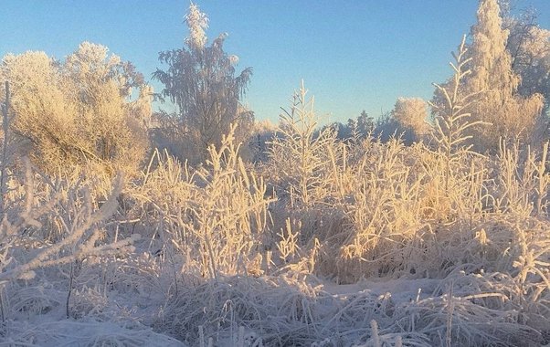 Морозы и сильный ветер установились в Чувашии начнут ослабевать