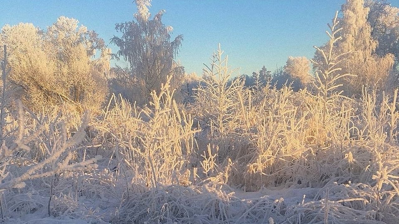 Главная картинка новости: Морозы и сильный ветер установились в Чувашии начнут ослабевать