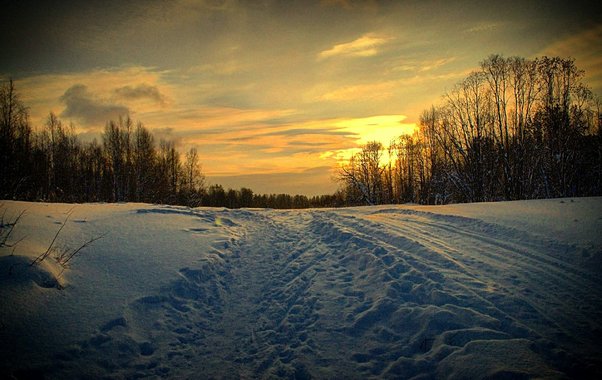Синоптики прогнозируют ослабление ветра и кратковременную оттепель в Чувашии