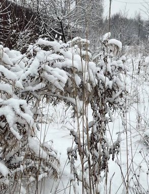 В Чувашии 21 декабря синоптики прогнозируют гололед и небольшой снег