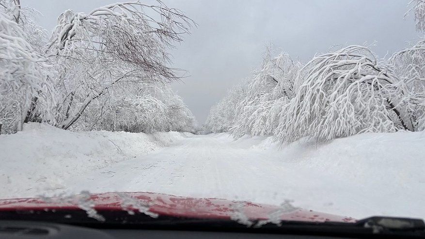Главная картинка новости: Метеорологи прогнозируют усиление морозов в Чувашии после кратковременного потепления