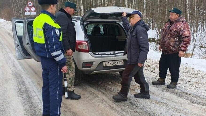Главная картинка новости: В Чувашии усиленная охрана хвойных лесов предотвратила незаконные вырубки