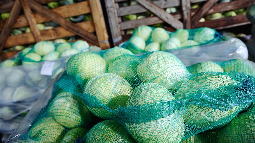 Главная картинка новости: Аграрии Чувашии заложили на хранение более 160 тысяч тонн овощей