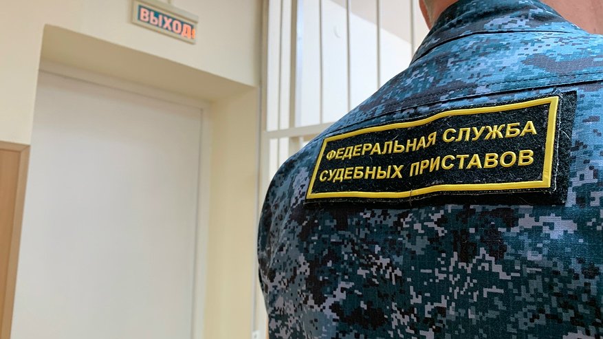 Главная картинка новости: В Чувашии мать поплатилась за долги по алиментам общественными работами