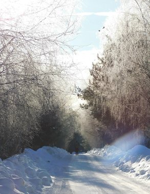 Новый циклон принесет в Чувашию метель и усиление мороза