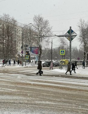 Синоптики предупреждают жителей Чувашии о метелях 11 января