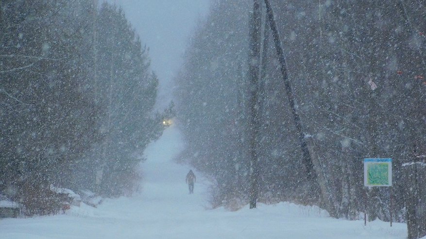 Главная картинка новости: Снегопады и метель усилятся в Чувашии из-за нового циклона