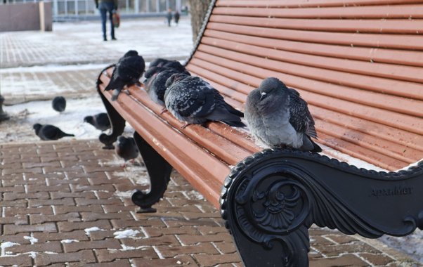 Гидрометцентр зафиксировал аномально низкие температуры в Чувашии в период первой волны похолодания