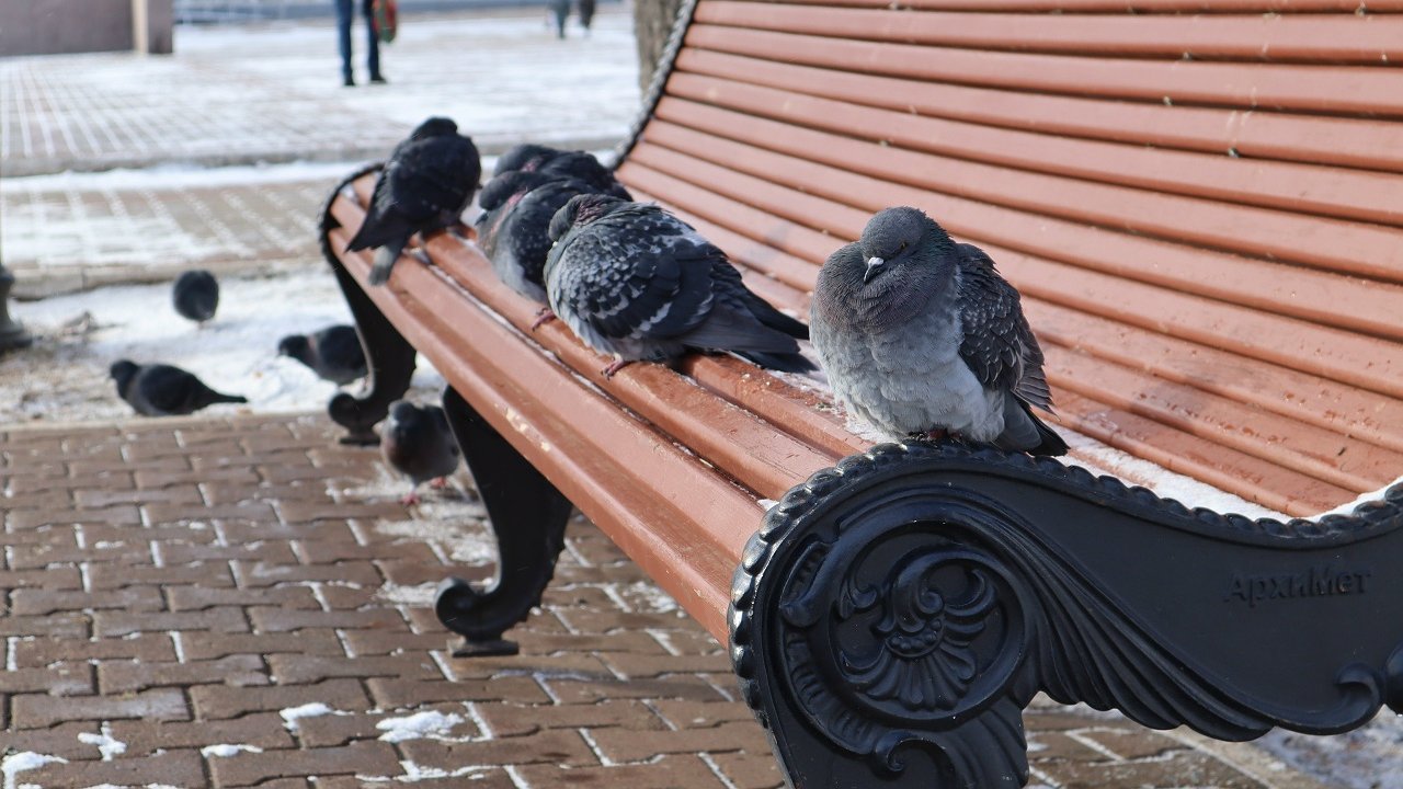 Главная картинка новости: Гидрометцентр зафиксировал аномально низкие температуры в Чувашии в период первой волны похолодания