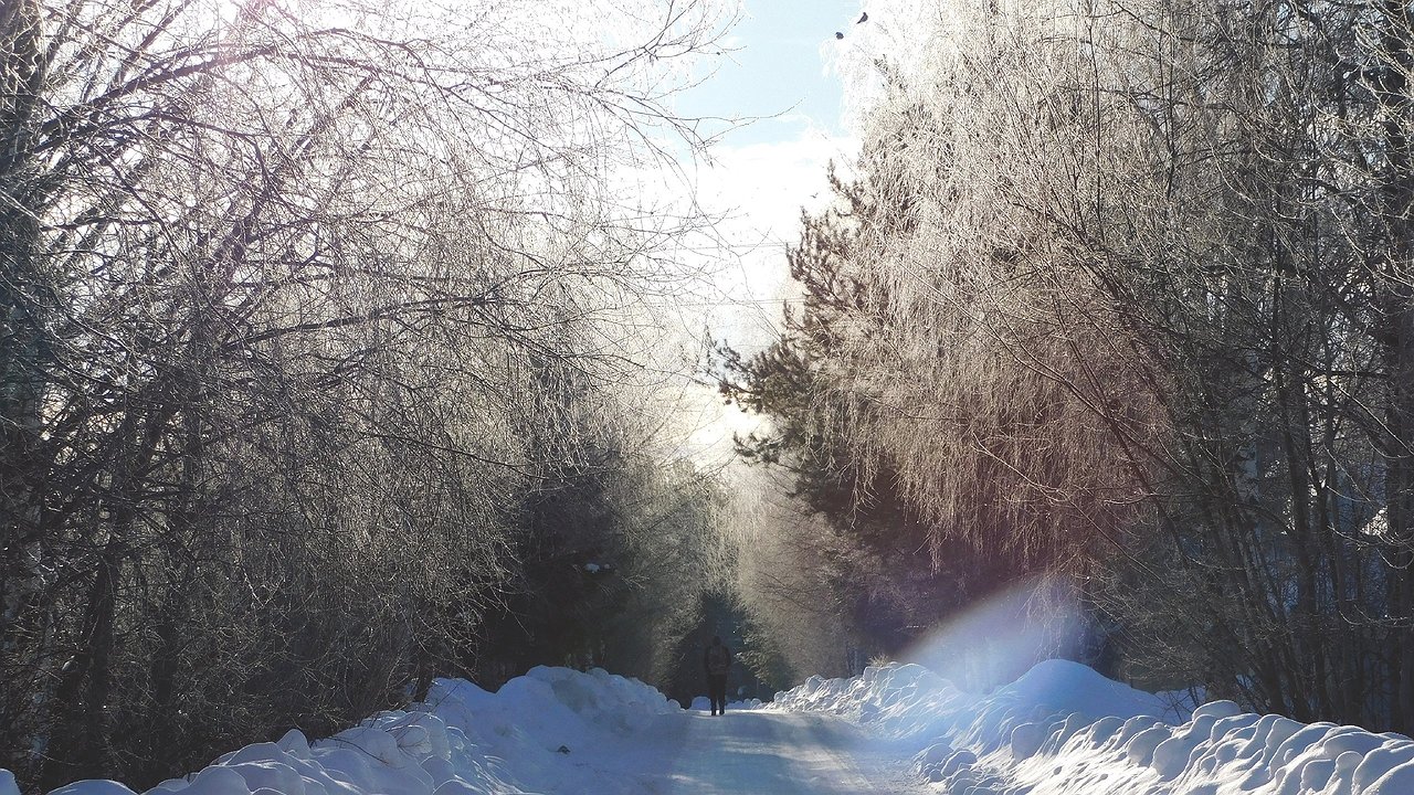 Главная картинка новости: Аномальные морозы продолжают сковывать Чувашию: горожан призывают к осторожности