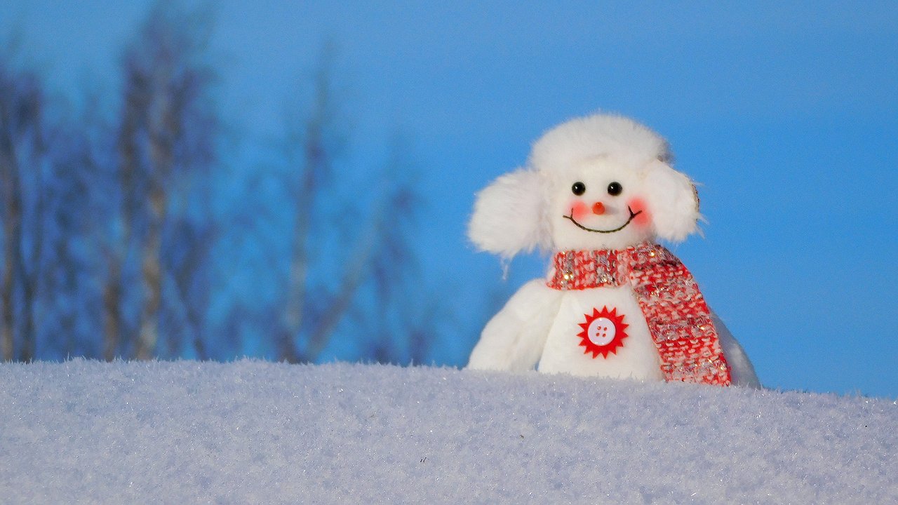 Главная картинка новости: В Чувашии прогнозируется мороз и юго-западный ветер 25 января