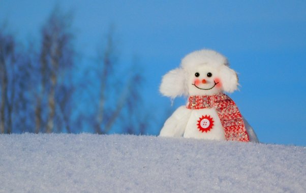 МЧС Чувашии объявило «жёлтый» уровень опасности из-за метели и сильного ветра