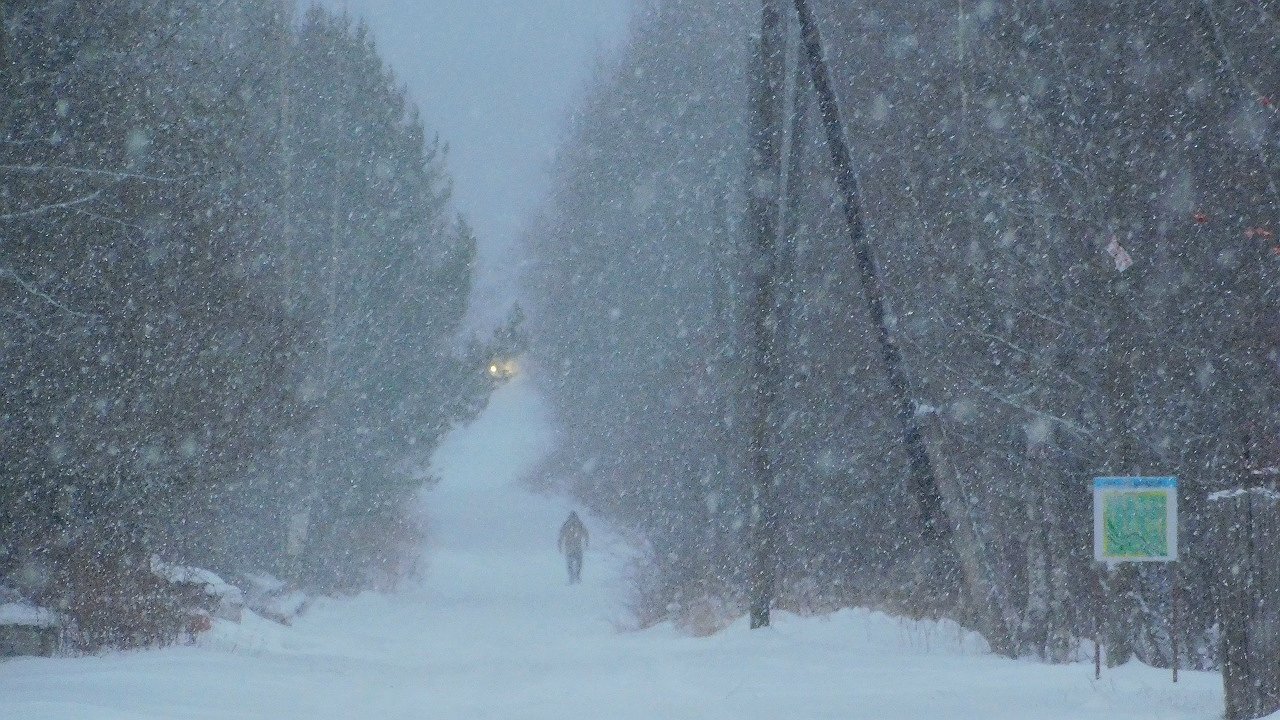 Главная картинка новости: Снегопады в Чувашии временно ослабнут перед новым усилением в четверг