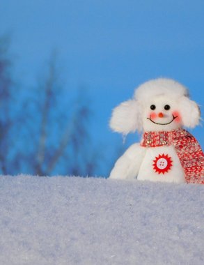 Чувашию 31 января накроет мощный снегопад