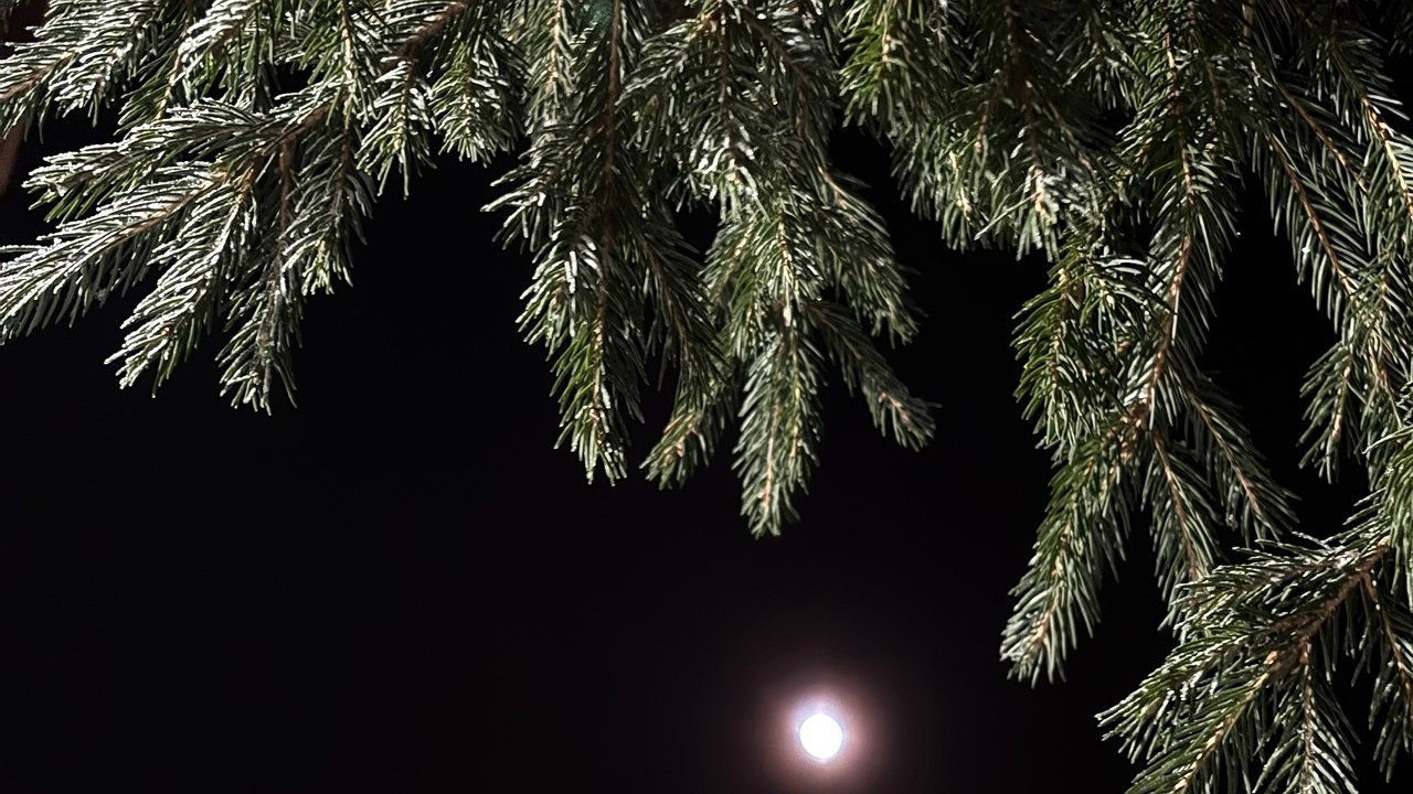 Главная картинка новости: В Чувашии ожидаются самые холодные ночи зимы с похолоданием до 29 градусов